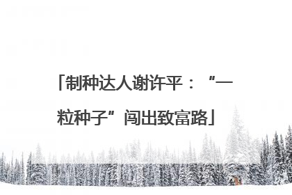 制种达人谢许平：“一粒种子”闯出致富路