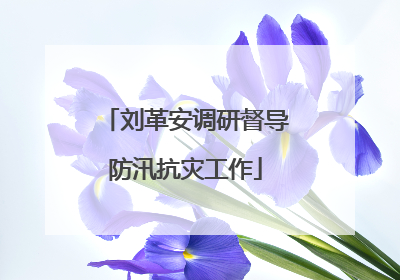 刘革安调研督导防汛抗灾工作