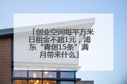 创业空间每平方米日租金不超1元，浦东“青创15条”满月带来什么