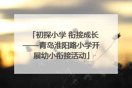 初探小学 衔接成长——青岛淮阳路小学开展幼小衔接活动