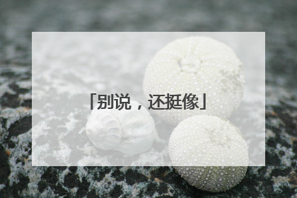 别说，还挺像