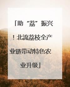 助“荔”振兴！北流荔枝全产业链带动特色农业升级