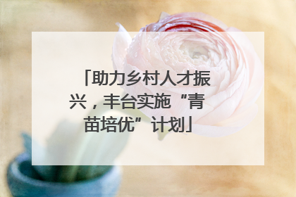 助力乡村人才振兴，丰台实施“青苗培优”计划