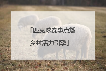 匹克球赛事点燃乡村活力引擎