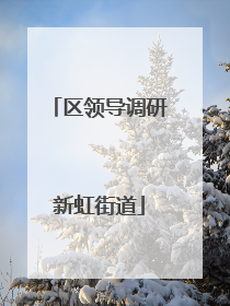 区领导调研新虹街道