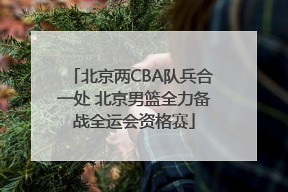 北京两CBA队兵合一处 北京男篮全力备战全运会资格赛