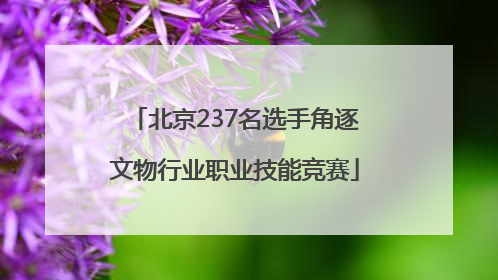 北京237名选手角逐文物行业职业技能竞赛