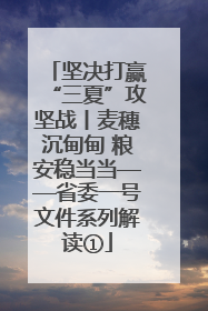 坚决打赢“三夏”攻坚战丨麦穗沉甸甸 粮安稳当当——省委一号文件系列解读①