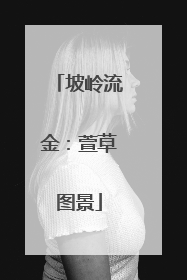 坡岭流金：萱草图景
