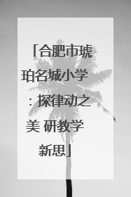 合肥市琥珀名城小学：探律动之美 研教学新思