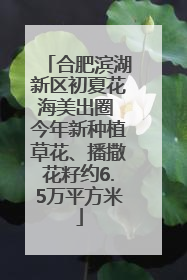 合肥滨湖新区初夏花海美出圈 今年新种植草花、播撒花籽约6.5万平方米