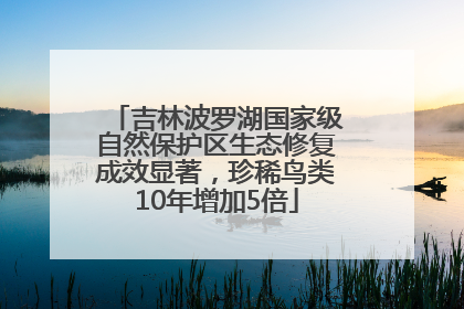 吉林波罗湖国家级自然保护区生态修复成效显著，珍稀鸟类10年增加5倍