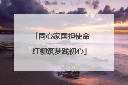 同心家国担使命 红柳筑梦践初心