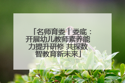 名师育娄丨娄底：开展幼儿教师素养能力提升研修 共探数智教育新未来