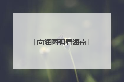 向海图强看海南