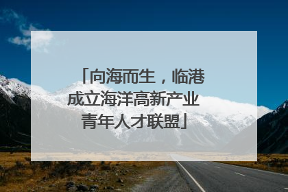 向海而生，临港成立海洋高新产业青年人才联盟