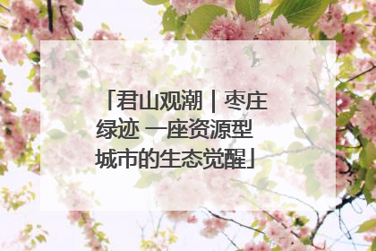 君山观潮｜枣庄绿迹 一座资源型城市的生态觉醒