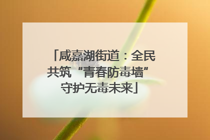咸嘉湖街道：全民共筑“青春防毒墙” 守护无毒未来