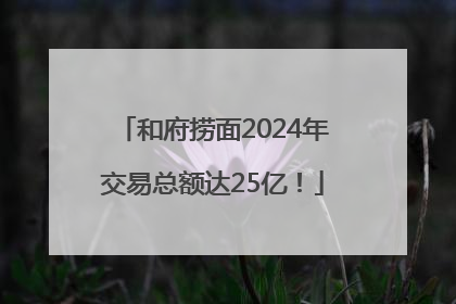 和府捞面2024年交易总额达25亿！