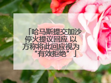 哈马斯提交加沙停火提议回应 以方称将此回应视为“有效拒绝”