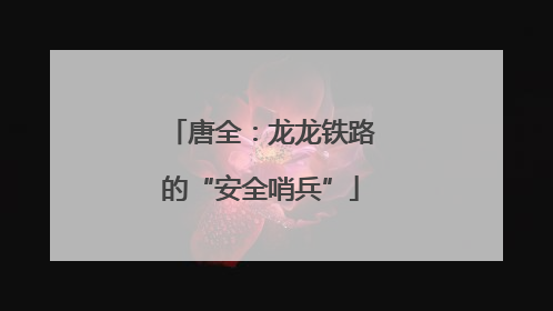 唐全：龙龙铁路的“安全哨兵”