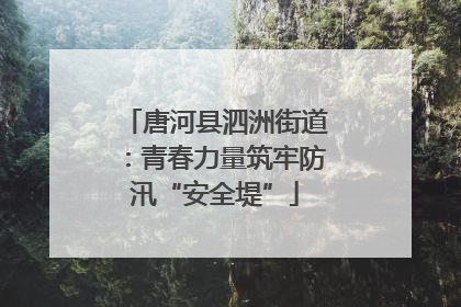 唐河县泗洲街道：青春力量筑牢防汛“安全堤”