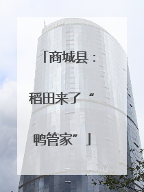商城县：稻田来了“鸭管家”