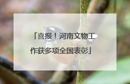 喜报！河南文物工作获多项全国表彰