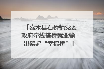 嘉禾县石桥镇党委政府牵线搭桥就业输出架起“幸福桥”