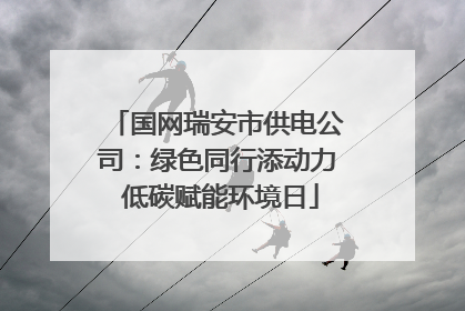 国网瑞安市供电公司：绿色同行添动力 低碳赋能环境日