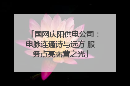 国网庆阳供电公司：电脉连通诗与远方 服务点亮露营之光
