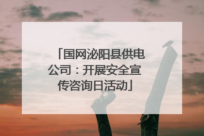 国网泌阳县供电公司：开展安全宣传咨询日活动