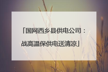 国网西乡县供电公司：战高温保供电送清凉