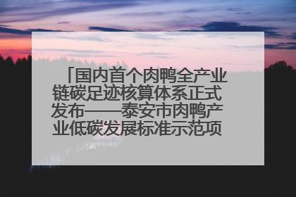 国内首个肉鸭全产业链碳足迹核算体系正式发布——泰安市肉鸭产业低碳发展标准示范项目顺利通过验收