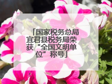 国家税务总局宜君县税务局荣获“全国文明单位”称号