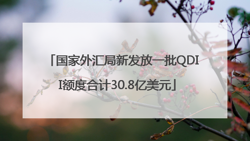 国家外汇局新发放一批QDII额度合计30.8亿美元