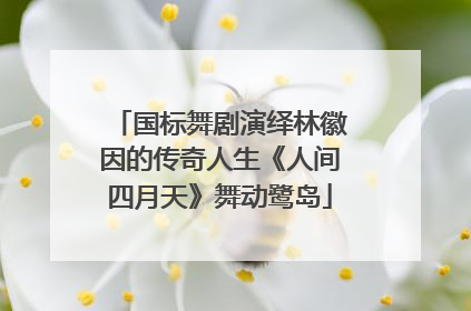 国标舞剧演绎林徽因的传奇人生《人间四月天》舞动鹭岛