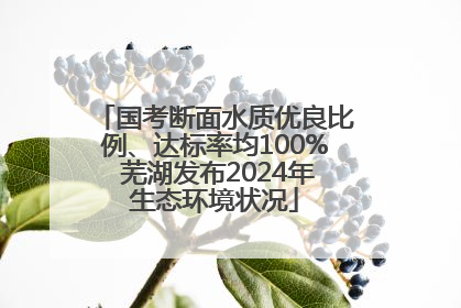 国考断面水质优良比例、达标率均100% 芜湖发布2024年生态环境状况