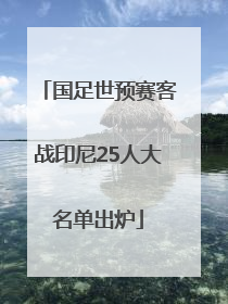 国足世预赛客战印尼25人大名单出炉