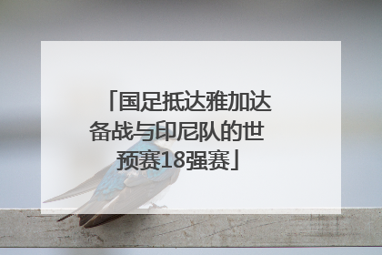 国足抵达雅加达备战与印尼队的世预赛18强赛