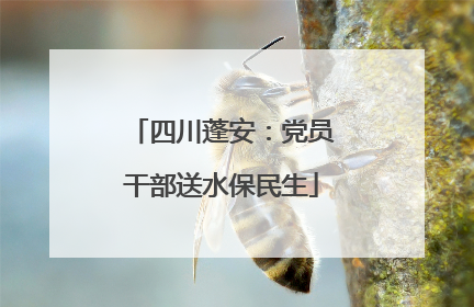 四川蓬安：党员干部送水保民生