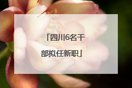 四川6名干部拟任新职