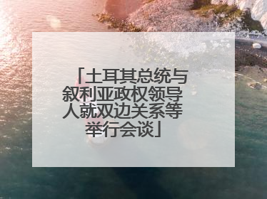 土耳其总统与叙利亚政权领导人就双边关系等举行会谈