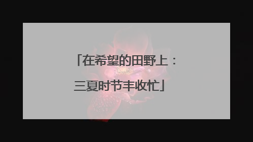 在希望的田野上：三夏时节丰收忙