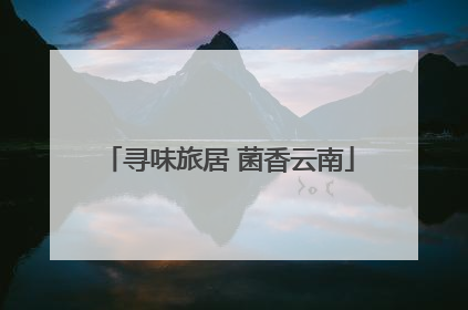 寻味旅居 菌香云南