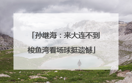 孙继海：来大连不到梭鱼湾看场球挺遗憾