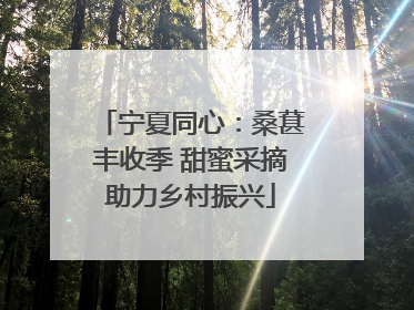 宁夏同心：桑葚丰收季 甜蜜采摘助力乡村振兴