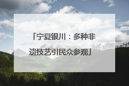 宁夏银川：多种非遗技艺引民众参观