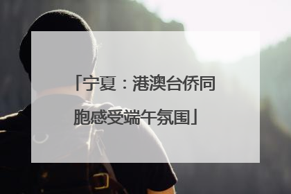 宁夏：港澳台侨同胞感受端午氛围