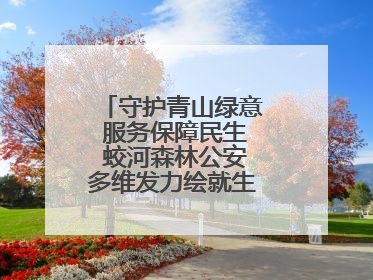 守护青山绿意 服务保障民生 蛟河森林公安多维发力绘就生态惠民新画卷